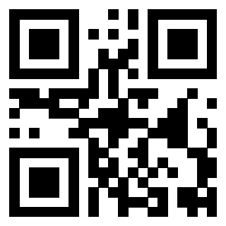 Il Qr Code di 3919542396