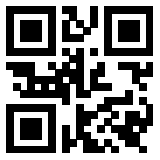 QrCode di 3919542404