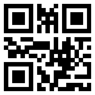 Il Qr Code di 3919542437