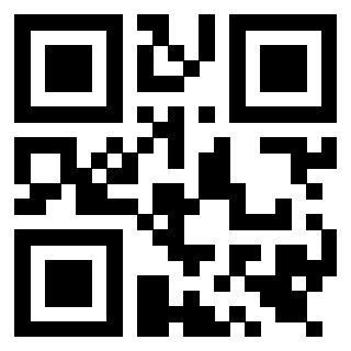 Il Qr Code di 3919542493