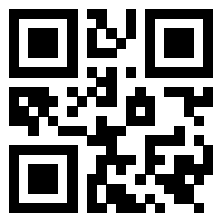 Il Qr Code di 3919542537