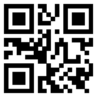 Il Qr Code di 3919542560