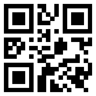 Il Qr Code di 3919542574