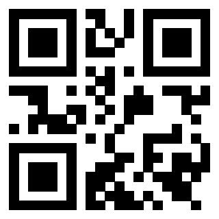 Il Qr Code di 3919542597