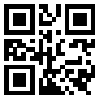 Il Qr Code di 3919542621