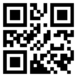 Il Qr Code di 3919542701