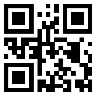 Il Qr Code di 3919542747