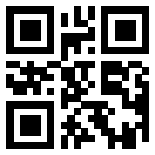 Il Qr Code di 3919542826