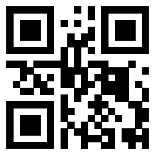 Il Qr Code di 3919542862