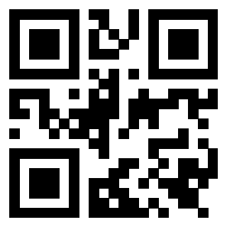 Il Qr Code di 3919542866