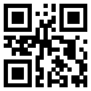 Il Qr Code di 3919542893
