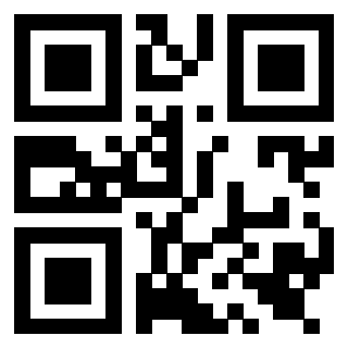 QrCode di 3919542924