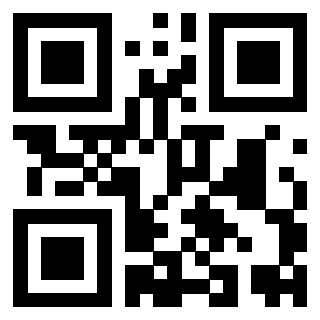 Il Qr Code di 3919542933