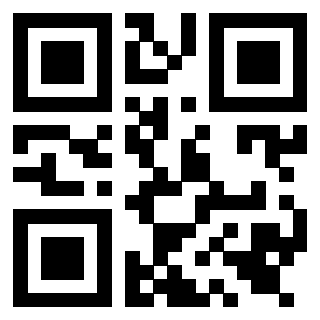 Il Qr Code di 3919542948