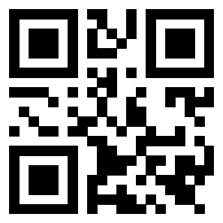 Il Qr Code di 3919542949