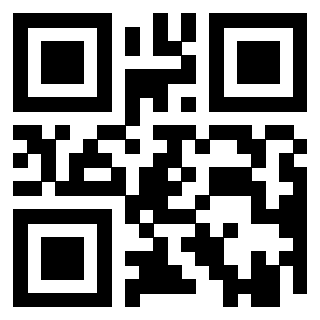 Il Qr Code di 3919542958