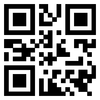 Il Qr Code di 3919542973