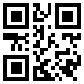 Il Qr Code di 3919542996