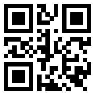 QrCode di 3919543017