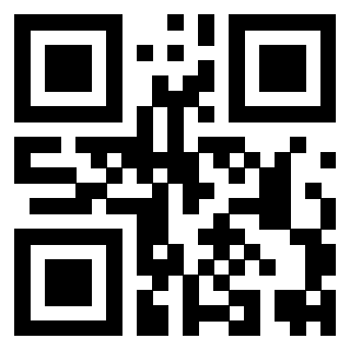 Il Qr Code di 3919543022