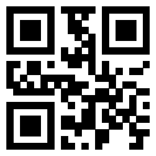 Il Qr Code di 3919543082