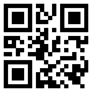 Il Qr Code di 3919543130