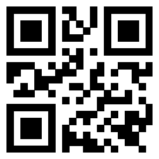 Il Qr Code di 3919543148