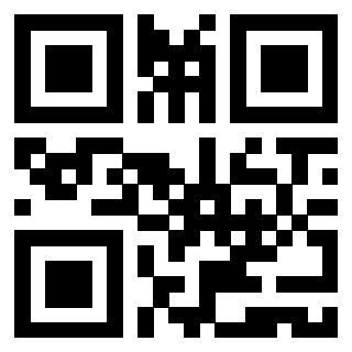 Il Qr Code di 3919543163