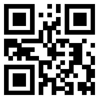 Il Qr Code di 3919551635