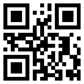 Il Qr Code di 3919551636