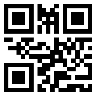Il Qr Code di 3919551654