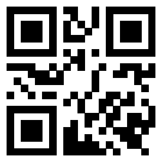 Il Qr Code di 3919551659