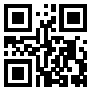 Il Qr Code di 3919551686