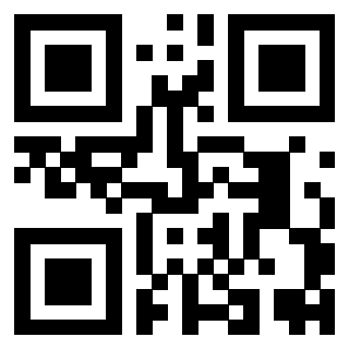 Il Qr Code di 3919551746
