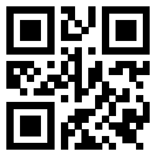 QrCode di 3919551748