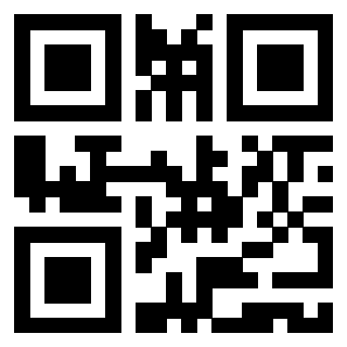 Il Qr Code di 3919551772