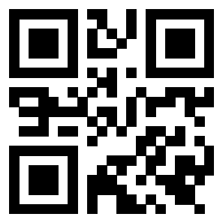 Il Qr Code di 3919551789