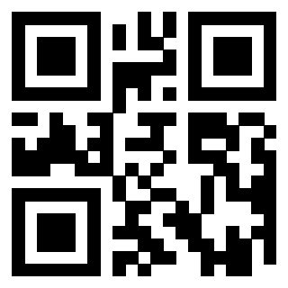 Il Qr Code di 3919551830