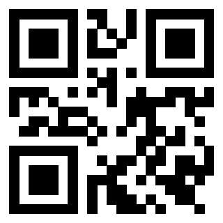 Il Qr Code di 3919551879
