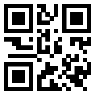 Il Qr Code di 3919551936