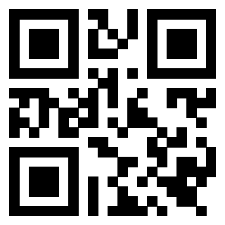 Il Qr Code di 3919551976