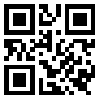Il Qr Code di 3919552019