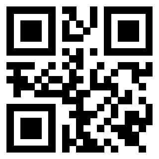 Il Qr Code di 3919552040