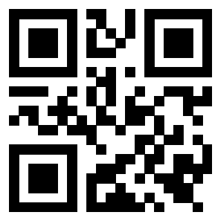 Il Qr Code di 3919552089