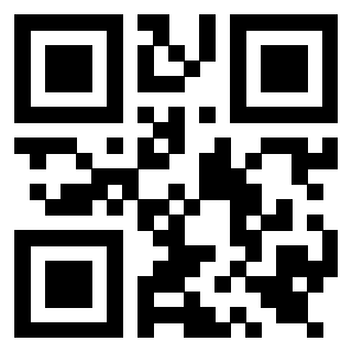 Il Qr Code di 3919552106