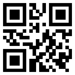 Il Qr Code di 3919552129