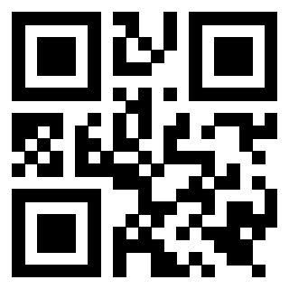 Il Qr Code di 3919552174