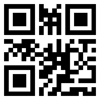 Il Qr Code di 3919552197
