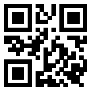 Il Qr Code di 3919552380