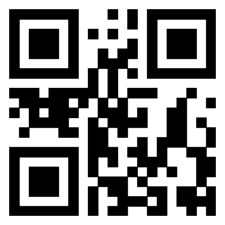 Il Qr Code di 3919552457